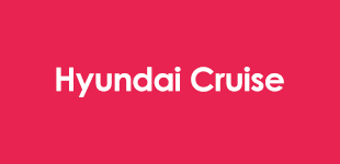Hyundai Cruise
